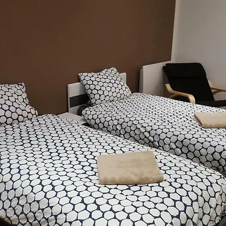L'haussmannien Stephanois Apartment